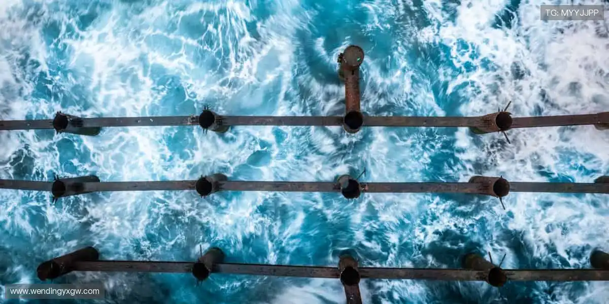 雀神争霸麻将大赛：百万奖金寻找雀神，不仅是娱乐更是荣誉